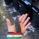 피티에이치 이미지