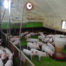 우일농장 이미지