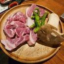 찬미돼지 티스토리