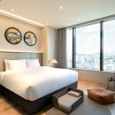 멍팔자 상팔자 이미지