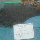 미르 어린이공원 이미지