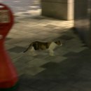 UR(오산시)-[내삼미로80번길]-하-2 | 10월은 행복해야지