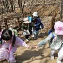 펀포레스트