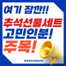 2025 추석 선물세트 추천, 소고기·한삼인·김·참치·떡·사과 가격대별 인기템 총정리