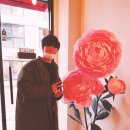 라이프트리 Life Tree