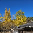 허난설헌생가터 | 강릉 허균·허난설헌 생가터 후기｜조용한 한옥 산책 + 탁본 체험까지!