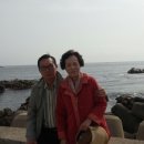 춘정농장 티스토리