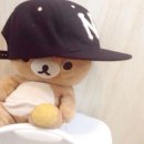 썬브릿지2 이미지