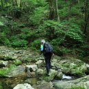 천연약수터 이미지