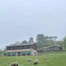 두일목장 이미지