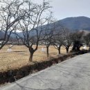 평리 마을회관 이미지