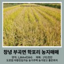 산과들공인중개사사무소 이미지