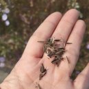 숲놀이 지도사 이미지