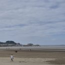 벽산114공인중개사사무소 | 서천(춘장대해수욕장, 홍원항) 보령(무창포, 대천해수욕장) 홍성(남당항) 여행