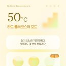 봄의온도