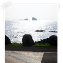 섬이보인다