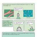 준시스템 이미지