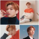 멍끌레르 이미지