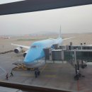 내방 제일 태권도 이미지