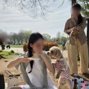 성동 서울숲 여름캠핑장 | 🌳서울숲 피크닉 장소/공사중인 서울숲ㅠ/땅콩이🥜🐶/대낮음주Girl🍷