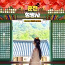 춘천 가볼만한곳 소양강댐 유람선 춘천 청평사 사찰 투어