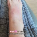 친절한여성한의사 평택지제한의원