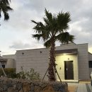 제주 혜윰가족숙소 | 제주 서귀포 가족 숙소 독채 펜션 제주살랑 후기