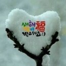 리스당구클럽 Daum카페