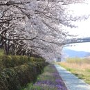 금정체육공원_풋살장 이미지