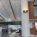 선양 International 이미지