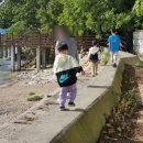 왕산어촌체험휴양마을 이미지