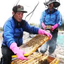 홍계마을 이미지