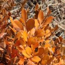 오류공원 이미지