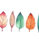 (주)새연 이미지