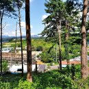 낙선군묘 이미지