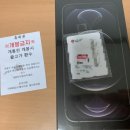 마론애견 이미지