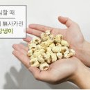 성부식품
