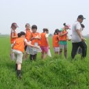 서울당서초등학교 이미지