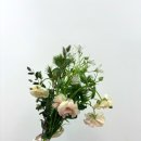 간단헤어커트(오후) 이미지