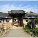 금환낙지