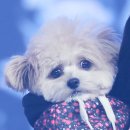 은비랜드 이미지