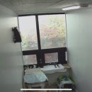 수원고양이호텔 가토캣슬 이미지