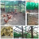 수평경로당 이미지