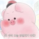 우쥬라이크 네이버블로그