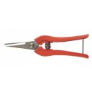 신성공구 이미지