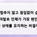 체육관로80번길 네이버블로그