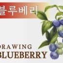 블루베리효능 부작용 제대로 알고 먹는법 이미지