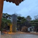 너른마당 | [고양 맛집] 통오리밀쌈이 맛있는 '너른마당' 내돈내산 솔직 후기