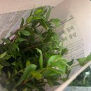 우주 남산점 | [청빛] 10월 청빛 오프라인 모임 후기(in 남산)