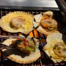 조개랑 대개랑 | 하와이조개 홍대 콜키지 프리 술집 홍대 맛집